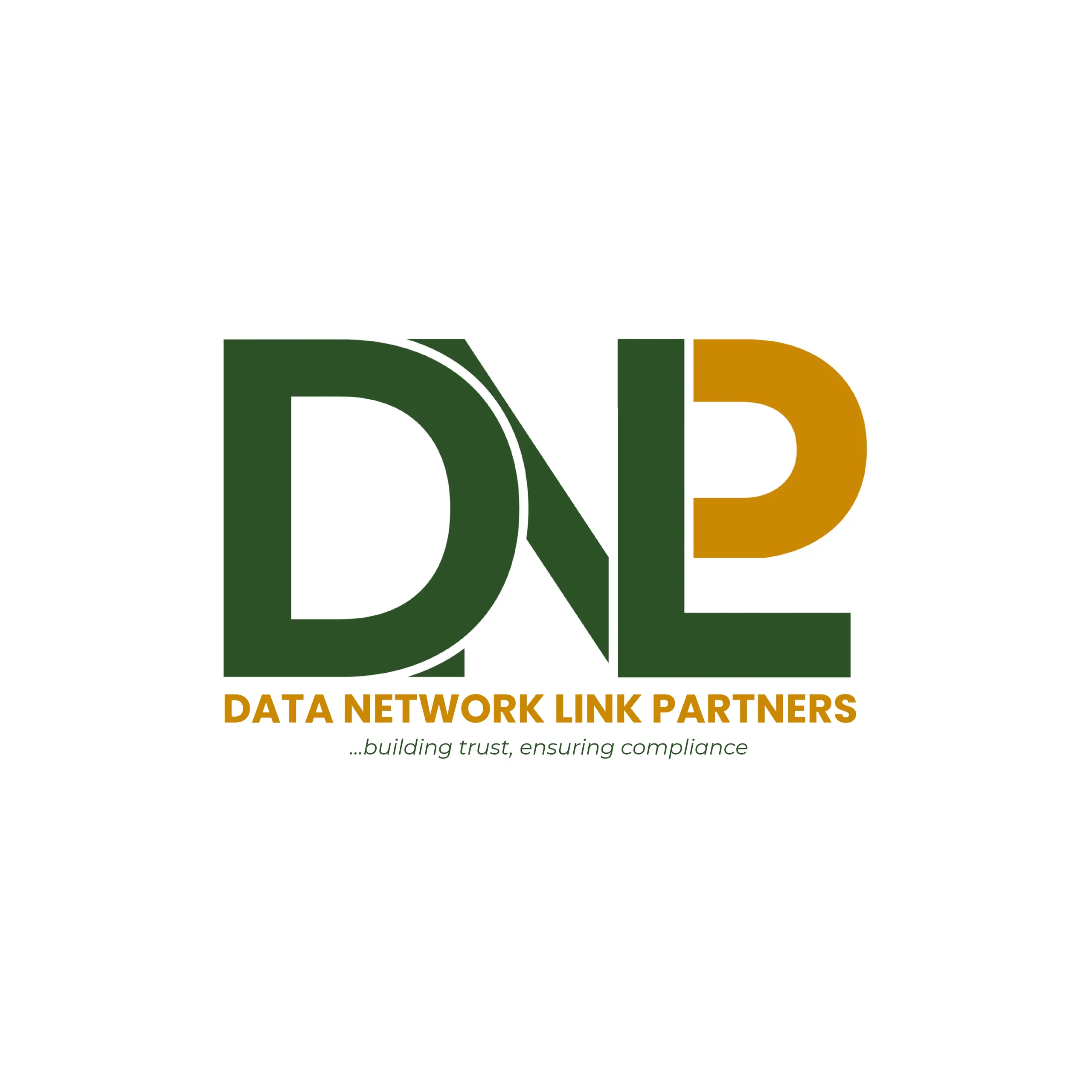 Data Network Link Partners profile photograph